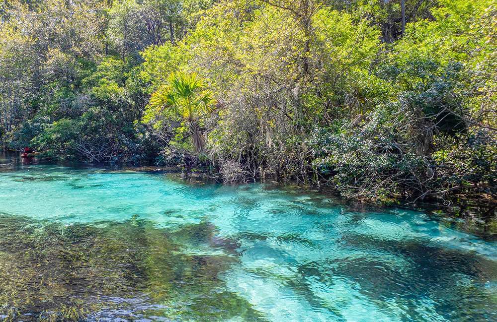 Weeki Wachee, FL.